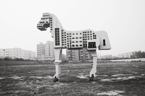 ryanpanos:  Someone Left a Horse on the Shore | Gigi Scaria | Via