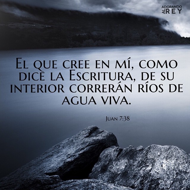 el que cree en mí, como dice la escritura, de su interior correrán ríos de agua viva. (Juan 7:38)
#Dios #Jesus #Jesucristo #Cristo #EspirituSanto #Jehova #Cristianismo #Fe #Amen #Biblia #Versiculo #PalabraDeDios #Escrituras #Avivamiento...