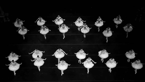 mariatallchief:Pacific Northwest Ballet’s Swan Lake (x)