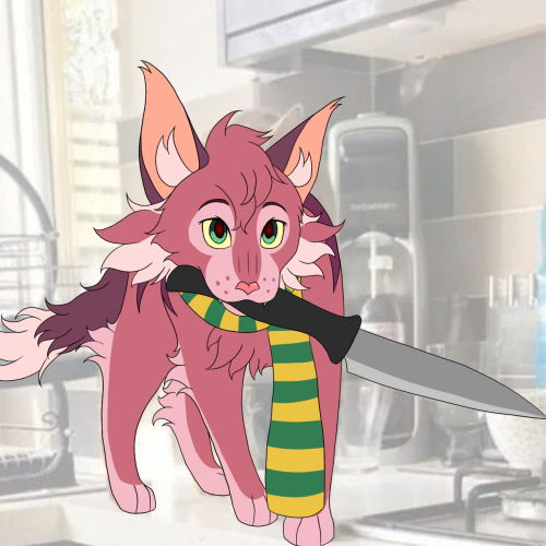 Drew Reece As Cat Memes Lol (please Ignore The Color Inconsistency)