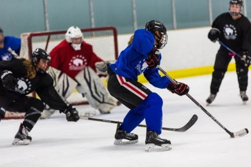 I’m so excited to be back for my third season with the Buffalo Beauts as thier team photograph