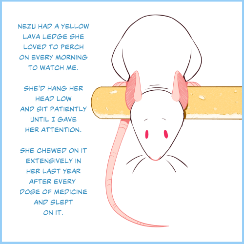 Day 8 &ndash; Nezu’s perchNone of my other rats use this perch as much as she did