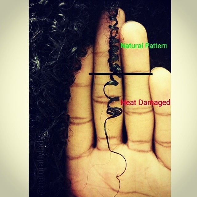 rimmysparkles:  We often make the mistake of thinking our hair is fine because it