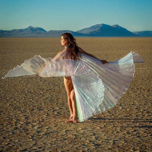 mac-photo:Angel on the Desert Floor #canonphotography #canon5dmarkiv #pdxphotographer #alvorddesert #wings #isiswings #desert #dryheat #iridescent #macphoto  (at Alvord Desert)