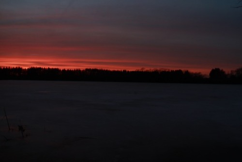 tiernanogphoto:storrs area southern wisconsin feb 2018