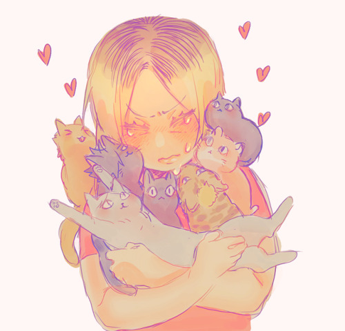 mookie000:  cats love Kenma !!