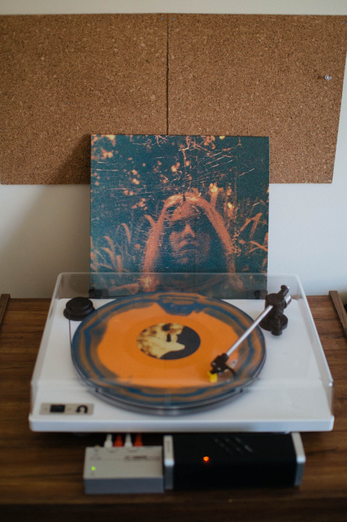 mttxdlln:records