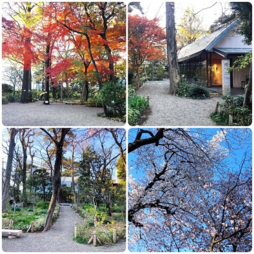 ＼おにわさん更新情報／ ‪[ 東京都練馬区 ] 牧野記念庭園 Makino Memorial Garden &amp; Museum, Nerima-ku, Tokyo の写真・記事を更新しました。 