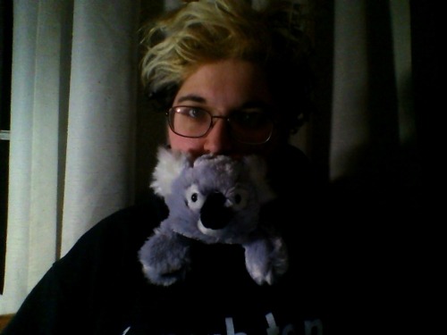 XXX Mum got me a super floppy koala stuffie. photo