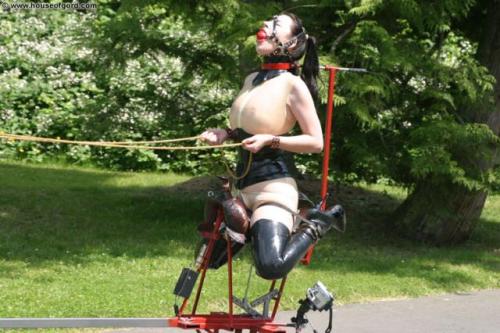 healerandpainy:  taking a little ride  adult photos