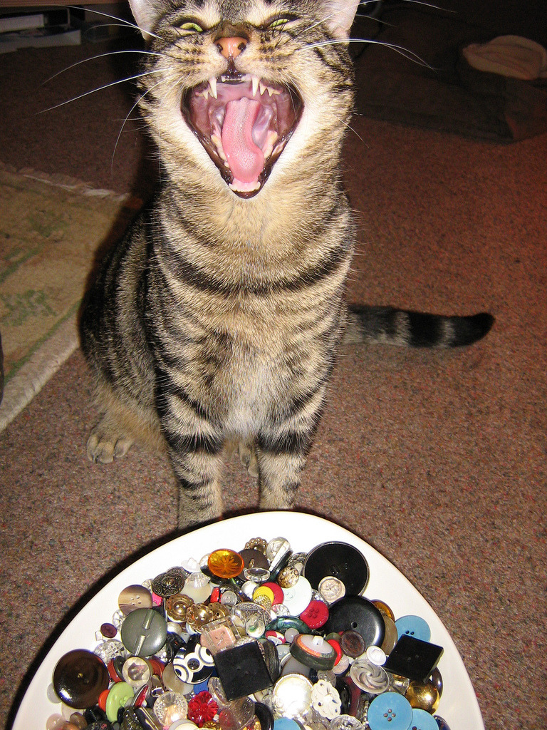 “One of my buttons is missing, Mama!!!”
Photo by ©sarahgb(theoriginal)