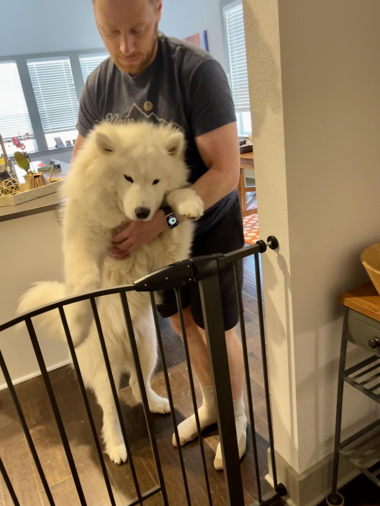 My welcoming committee every day when I get home from work (Riceball & Papa) 🥰