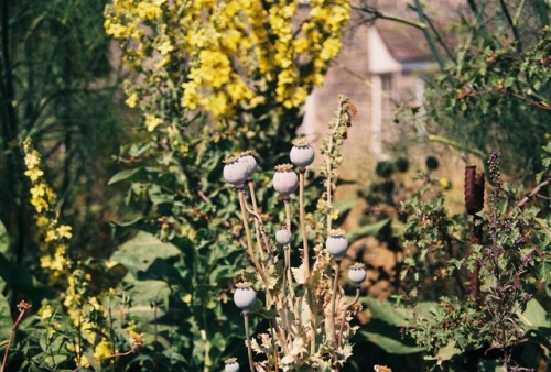 The Earth can feel like an alien planet35mm film