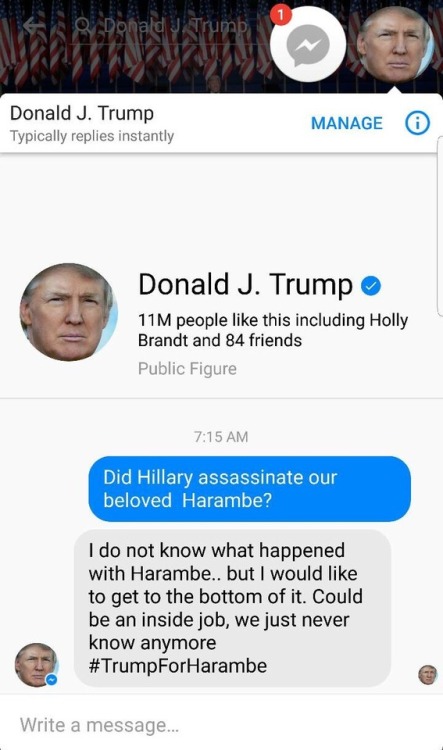 harambe