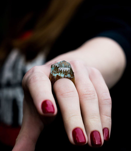 obstinate-nocturna:nudiemuse:thehotgirlproject:boredpanda:New Miniature Worlds Inside Wooden Rings C