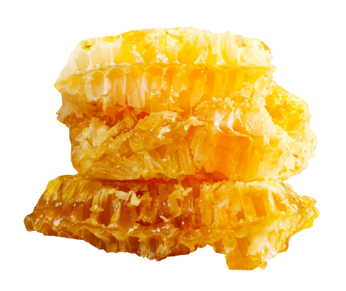 puriusagi:honeycomb ♡