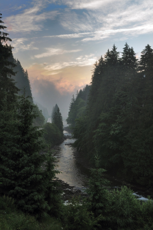 vhord:  strictly nature