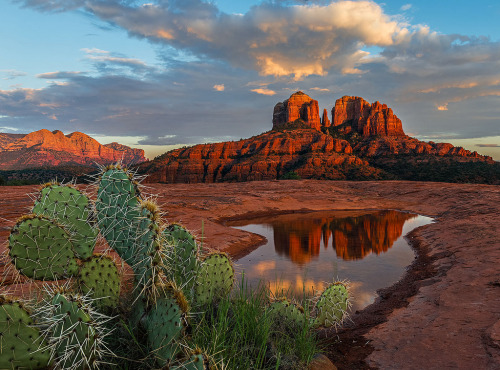 Porn photo old-hopes-and-boots:  Cathedral Rock, by