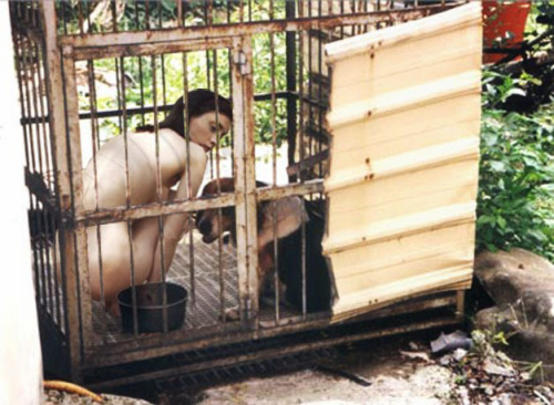 Devotional Training: Sharing a cage with a fellow pet. And we all know that a dog is a man’s best friend.