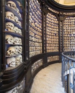 xbunnyclawsx:  Credit: Hall Of Skulls|Ossuary of San Martino Della Battaglia Italy