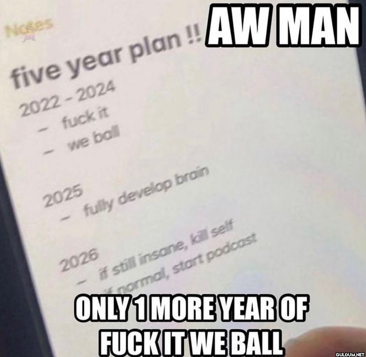 Noses five year plan!!...