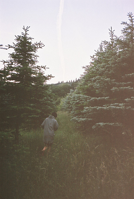 denounces:  untitled by Clemens Fantur on Flickr. 