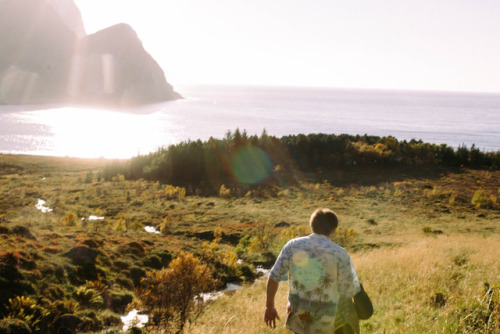 thethinker351: lofoten islands  instagram @takeme.north 