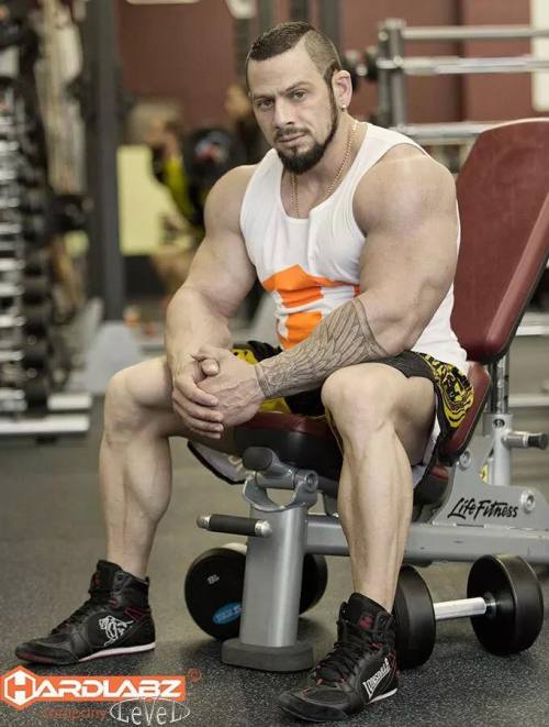 myfavoritemusclemen:  http://myfavoritemusclemen.tumblr.com/archive 