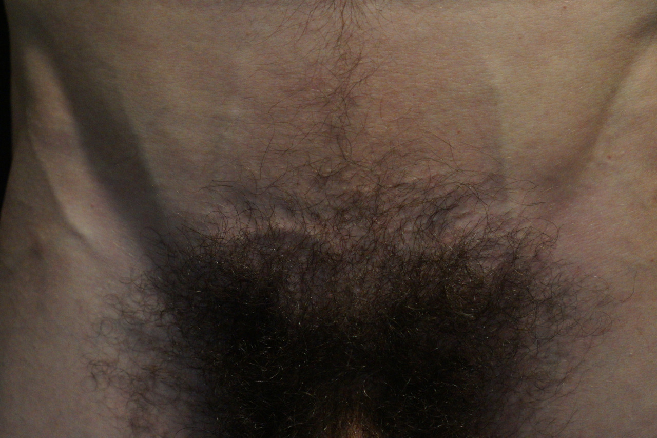 andrevautour:  body 2015-2016