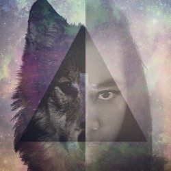 culturevault123:  Wolf on We Heart It. http://weheartit.com/entry/80832468/via/ItsCJoy