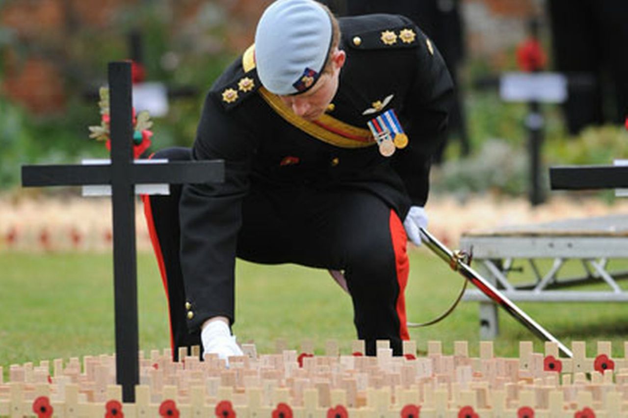 theroyalsaremydrug:  Never was so much owed, by so many, to so few Lest We Forget