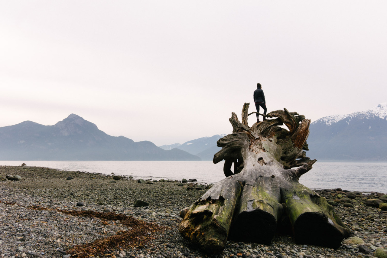 secretcities:  Porteau Cove, 2014.