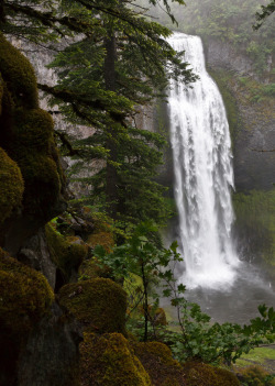 theoceanrolls:  Salt Creek Falls, Oregon