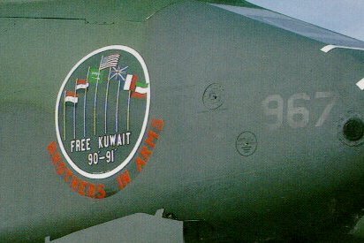 XXX fcba:  A-10 Thunderbolt II nose art during photo