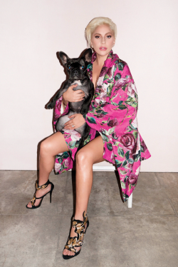 ladvsgaga:     Lady Gaga &amp; Asia photographed by Terry Richardson for V Magazine. 