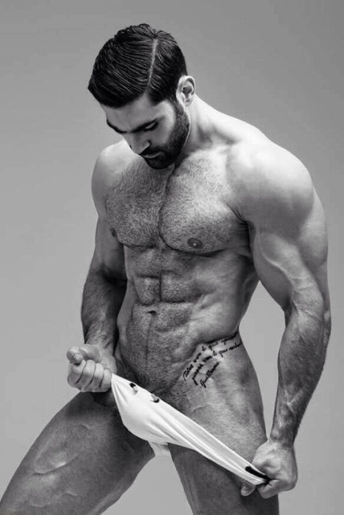 MUSCLE CORPS