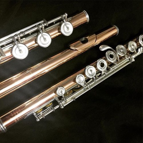 powellflutes:  Powell #Aurumite9k Handmade Conservatory posted by our friend and Powell player @danc