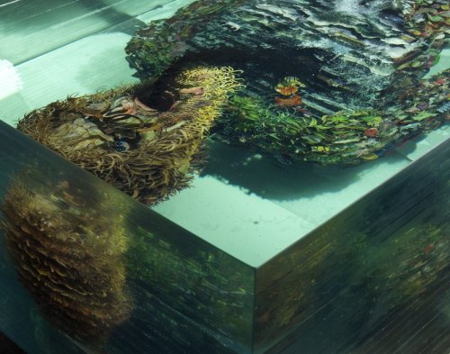 supersonicart:  Dustin Yellin’s Layer by Layer Sculptures. Brooklyn, New York based artist Dustin Yellin compels an intense meticulousness with his layer by layer sculptures which find panels of glass with found objects, paint and photographs arranged