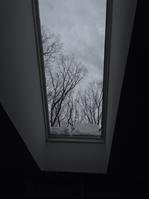 where is my mind