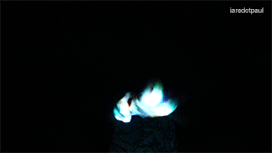 i-heart-raves:  Join—> www.nightlinx.com 