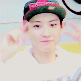 funkytao-deactivated20151014:literally! exo ladies & gentlemen: park chan yeol