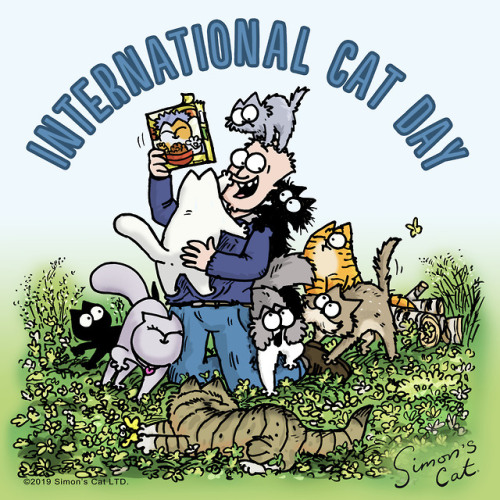 Cuddle all the cats! Happy #InternationalCatDay fellow cat lovers.