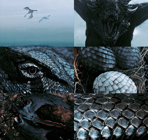 ibuzoo: ASOIAF Meme: @lo-ireese vs. @ibuzoo[2/2] Creatures: Dragons