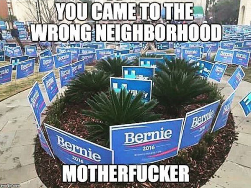 bellygangstaboo:    😂😂😂   