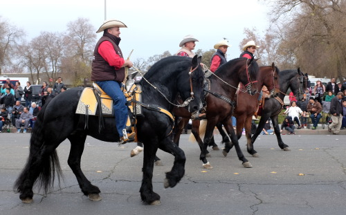 Christmas Parade in the Central ValleyFujifilm X100T - Eric Engelhard
