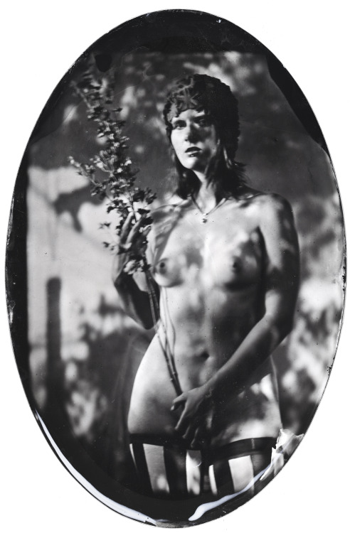 wetplatenudes: Katarzyna, 5.2015ambrotype on oval glass