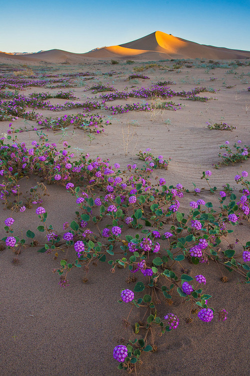 phantastrophe: Death Valley, California | Photographer: Guang Xiao