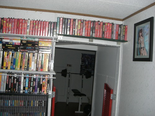 animeinagalaxyfaraway:  Some of my older games.