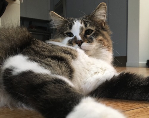 Squeesh face.