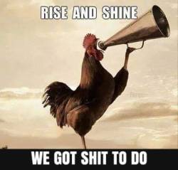 foxxysierra-2:thegingerpowers:Let&rsquo;s do dis!!